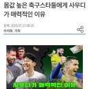 연봉정보) 사우디 초고액 연봉의 충격적인 사실 한가지 이미지