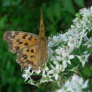 하늘빛 황토방 이미지