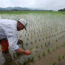 의명한의원 이미지