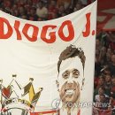 조타닷컴 이미지