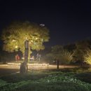 분재공원 화장실 이미지