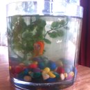 오브더데이(of the day) 이미지