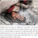 ♧2023년 4월 26일 신문을 통해 알게 된 것 들 이미지