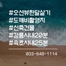 집에서 바다 보이는 곳/강릉 한달살기 이미지