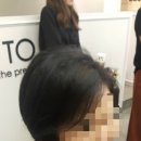 엘로이헤어 이미지