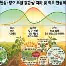 낮잠현상(Mid day nap) 이미지