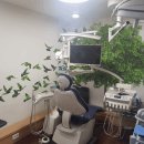 이편안치과의원 이미지