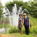 부평공원 이미지