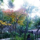 신동근린공원 쪽 Daum카페