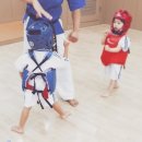 야무진태권도 이미지