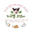 주식회사 바이애틱 | 대구펫쇼 업체 이벤트를 미리 알고 가자! _ 똑똑한 집사가 사냥을 잘한다!