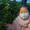 윤승농장 이미지