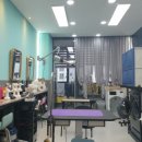 다듬다듬 이미지