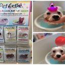 리틀댕댕 이미지