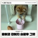 각도 조절 실리콘 재질 강아지 급체방지 슬로우 식기