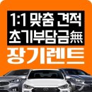 장기밧데리 이미지