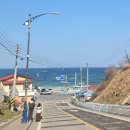 동해시-45 | 국내여행 ㅣ 강원도 동해 묵호여행 당일치기 뚜벅이 후기 (1)