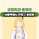 서울특별시 은평구 응암동 교정치과 총정리