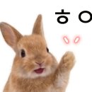 우전미용실