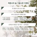 케렌시아 솔 이미지