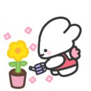 치킨마루 고산점