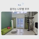 덕유산펜션 | 무주덕유산스키장 숙소 꿈꾸는나무별 펜션 후기 | 무주 수영장 펜션 무주 가족펜션