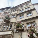 티머 인 호텔 | 2일차-1) 스트라스부르 "노트르담 대성당", "쁘티 프랑스" 관광 &amp; 맛집 추천 &amp; 무료화장실 공유