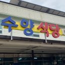 낚시하러 갔다가 만난 백반기행맛집 경남 고성 수양식당 고성로컬맛집