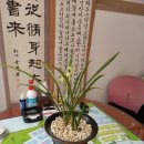 용인서천공인중개사사무소 이미지