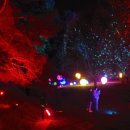 아라 일출 이미지