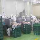 시우축산 이미지