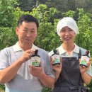 발효식품 | 사과 발사믹 식초 부드럽고 진한 비네거 비니거 드레싱 활용 요리 방법 발효장단 하슬라식품