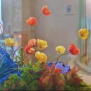 올데이스테이 이미지