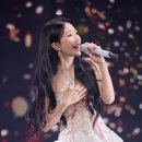 보아 이미지