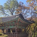 계룡산등산로(절) | 계룡산 갑사의 가을, 갑사로 가는 길