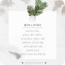 W#8. 신혼여행지 예약 : 몰디브x싱가포르(바카루 리조트 계약&amp;몰리브 리조트 비교 양식 엑셀 공유...