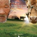 조선백정