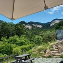 포레스트 김밥 이미지