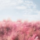 베트남웨딩스튜디오 네이버블로그