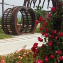 금강수변공원1 이미지