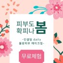 인셀덤 송도