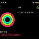 2023-1 방학일기 (2/4)