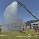 이례로-6 이미지