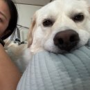 파티앤 캣 | 세상에서 제일 쉬운 거, 내 페이스 아이디