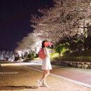 드레곤볼PC방 | [뒹굴뒹굴 라이프] 게으름뱅이 취준생입니다🌸 (Feat. 귀엽기만 하면 안 되나요?)