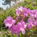 괴정초등학교 이미지