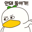 세종크리닝 이미지