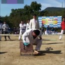 대성 합기도 이미지