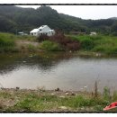 자연알로(광덕) 이미지