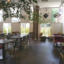 Cafe de cen(까페 드 센)